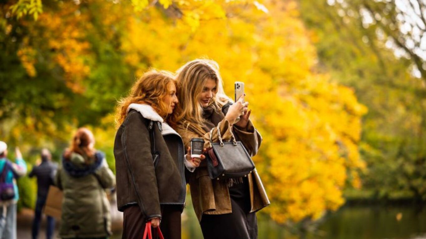 Guests enjoying autumn stroll in picturesque garden, with vibrant yellow trees, perfect for scenic relaxation and photos.
