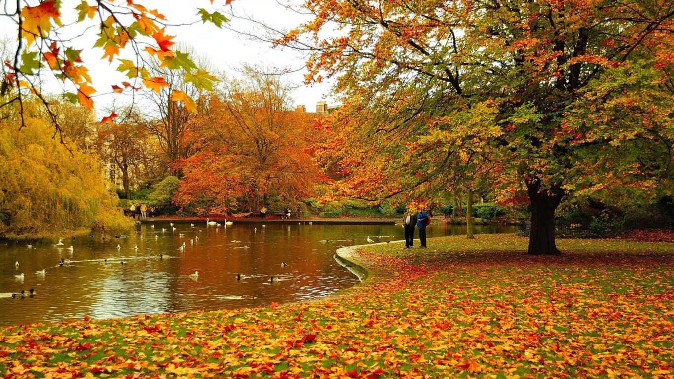 Guests stroll in park with vibrant autumn leaves and serene lake, offering a picturesque retreat near the hotel.
